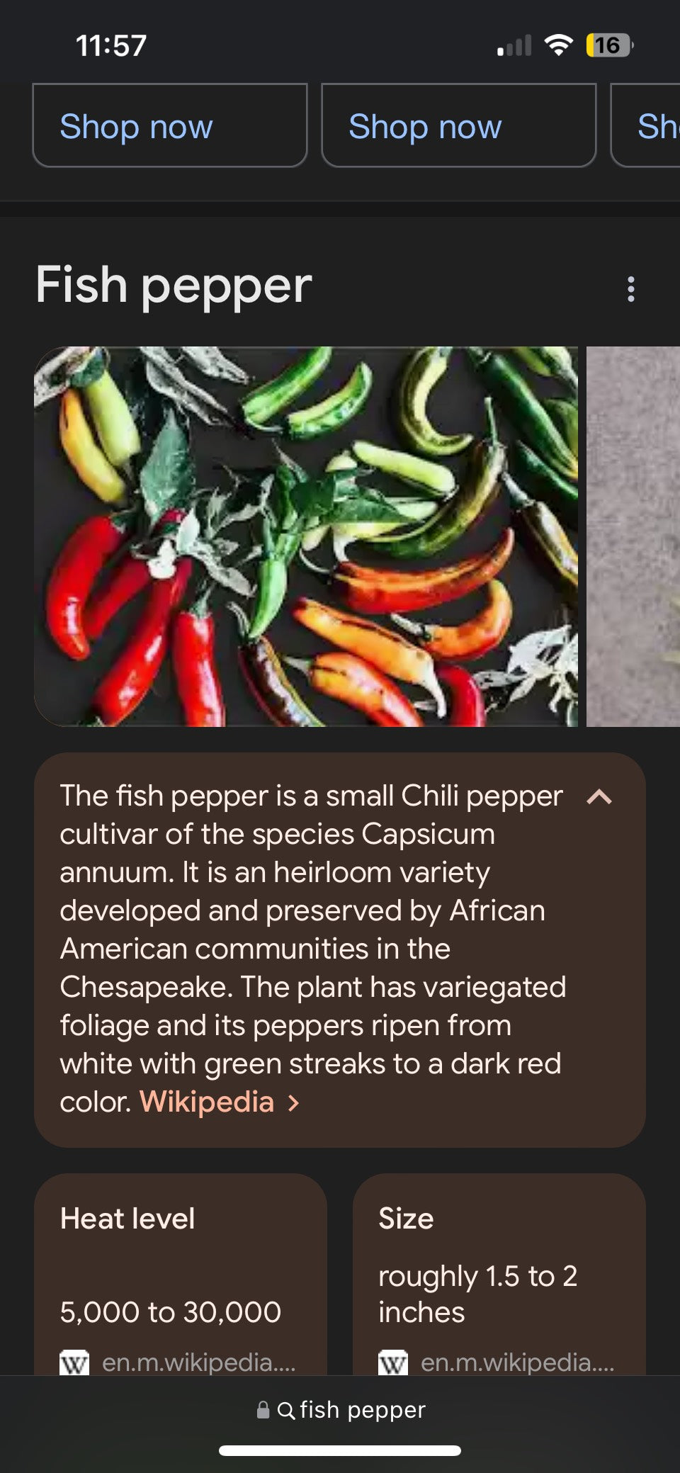 Sista Seeds by Florida Fish Pepper Co