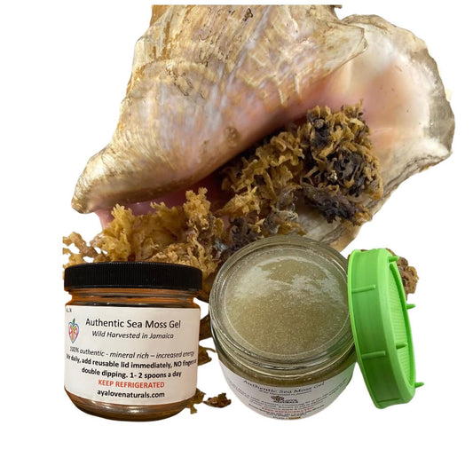 Jamaican Seamoss Gel - 12 oz by ALN