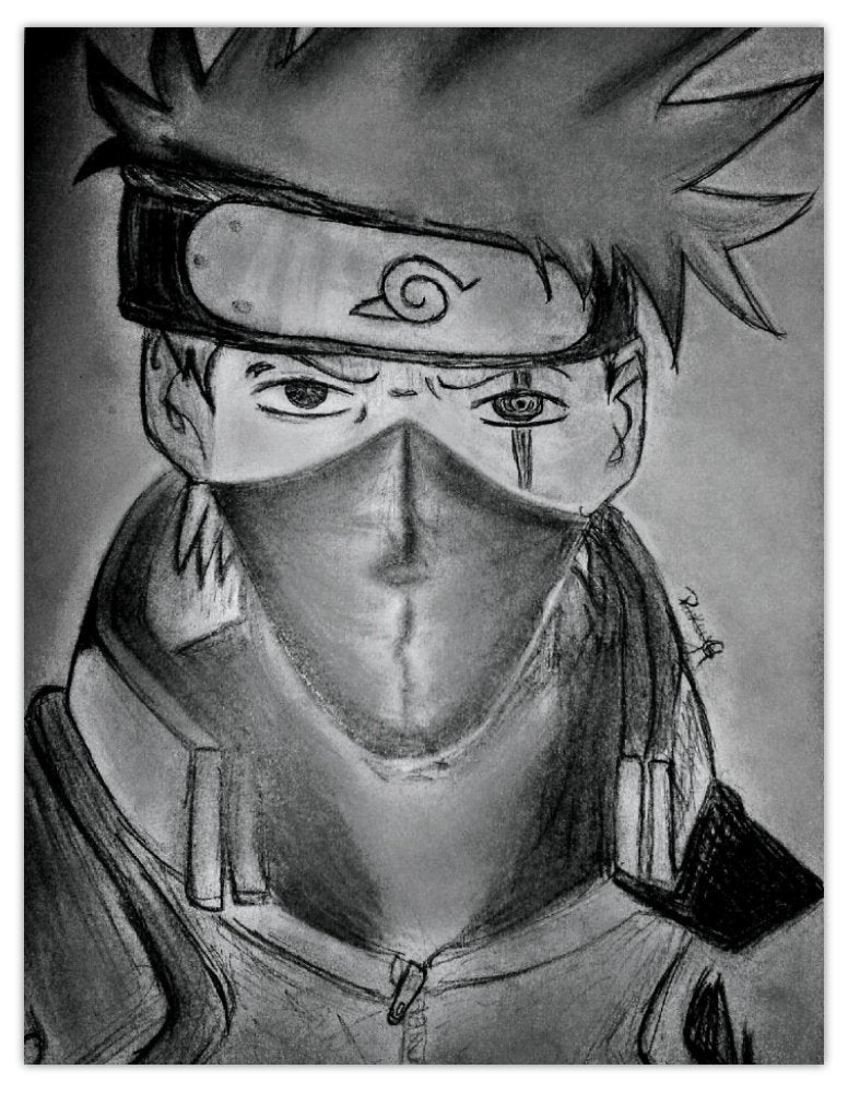 8.5X11 Illustrations